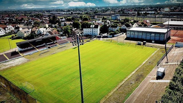 在国际舞台 在国际舞台