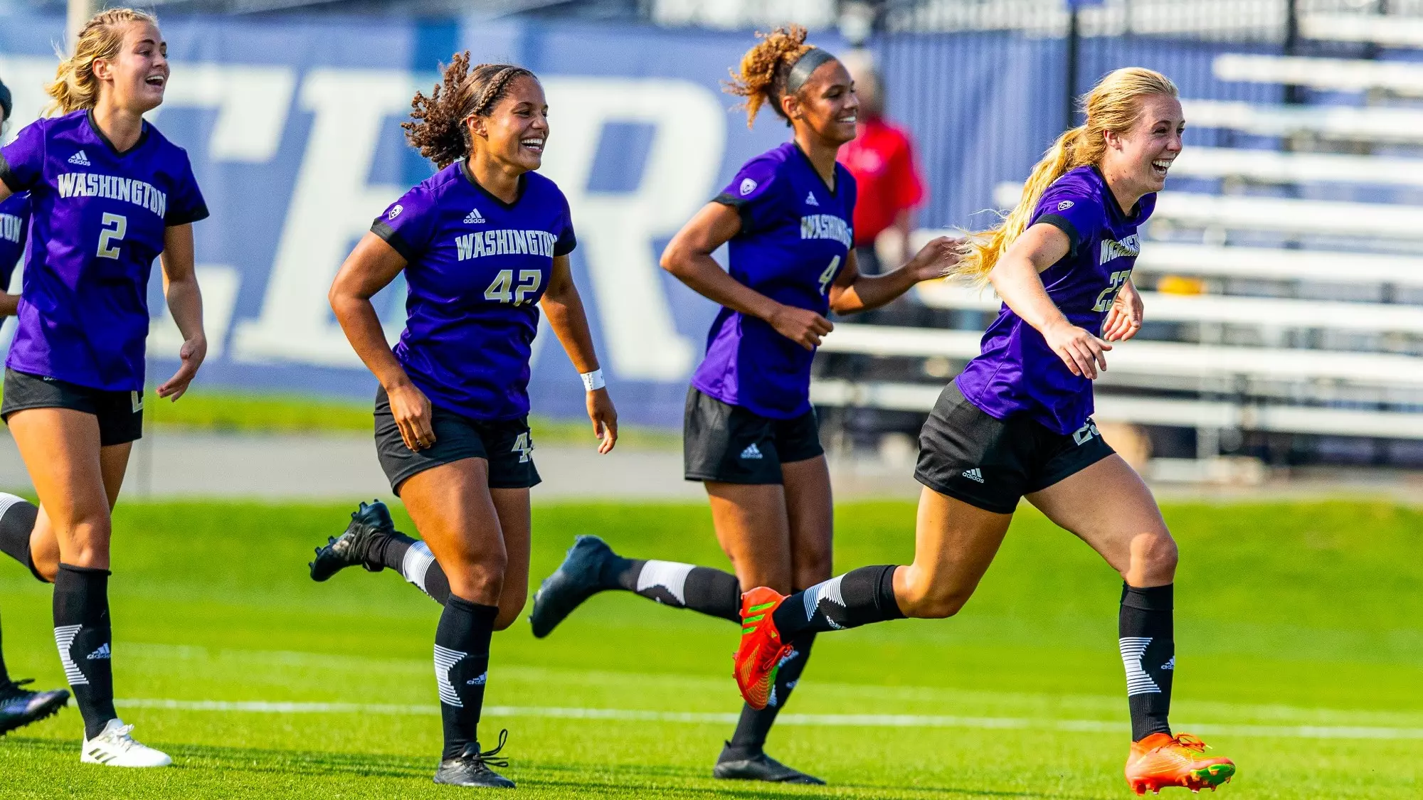 充分发挥的 充分发挥的