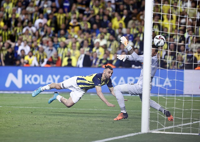 錯誤的裁判 錯誤的裁判